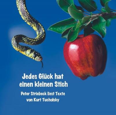 Jedes Glück hat einen kleinen Stich (Audio-CD) 