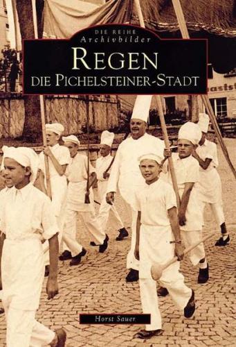 Regen. Die Pichelsteiner Stadt 