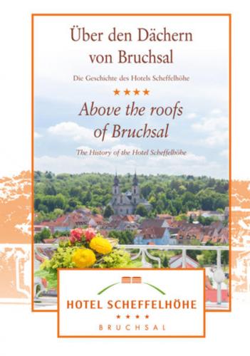 Über den Dächern von Bruchsal / Above the roofs of Bruchsal 