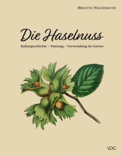 Die Haselnuss 