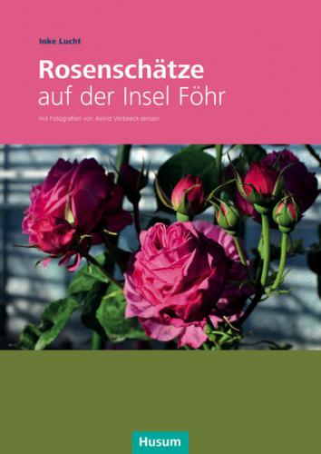 Rosenschätze auf der Insel Föhr 