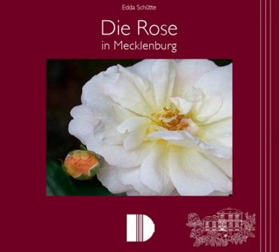 Die Rose in Mecklenburg 