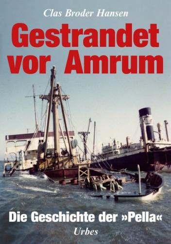 Gestrandet vor Amrum 