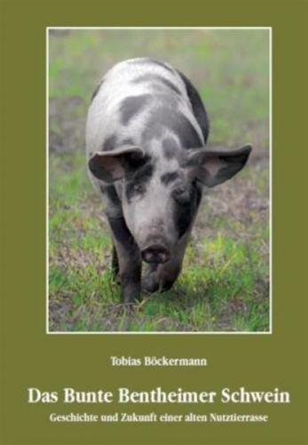 Das Bunte Bentheimer Schwein 