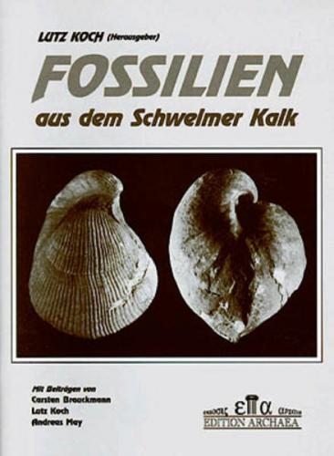 Fossilien aus dem Schwelmer Kalk 