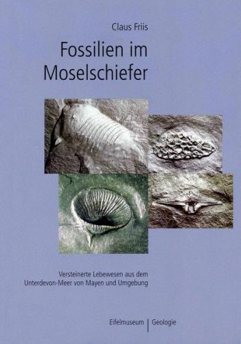 Fossilien im Moselschiefer 
