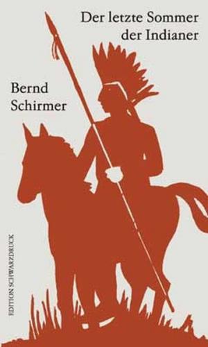 Der letzte Sommer der Indianer 