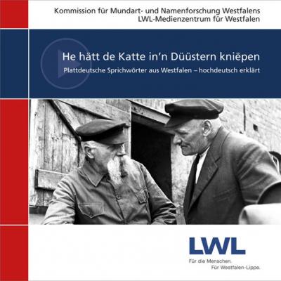 He hätt de Katte in'n Düüstern kniëpen. (Audio-CD) 