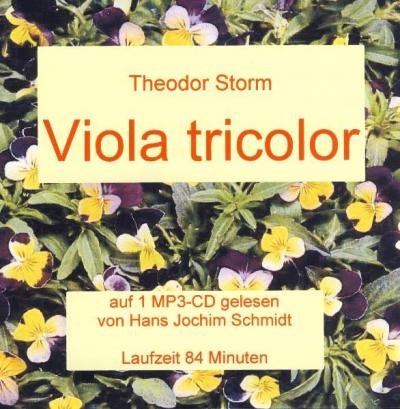Viola tricolor 