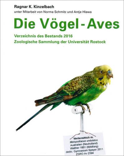 Die Vögel – Aves 