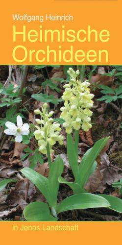 Heimische Orchideen in Jenas Landschaft 