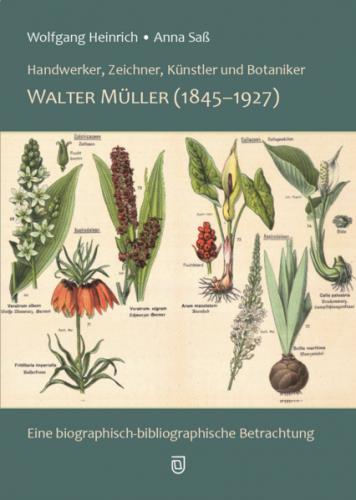 Walter Müller (1845-1927) 