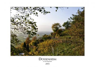 Dossenheim an der Bergstraße 2015 