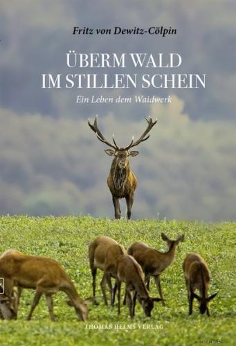Überm Wald im stillen Schein 