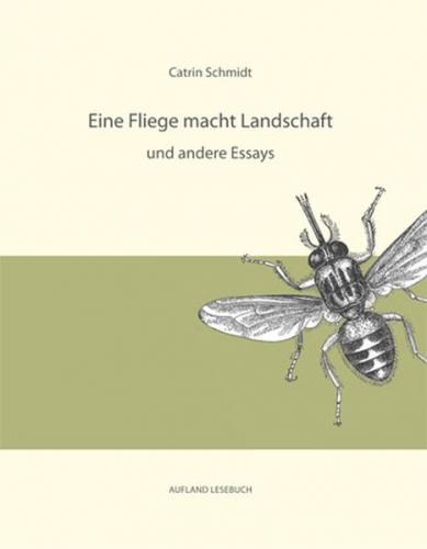 Eine Fliege macht Landschaft und andere Essays 