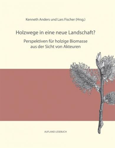 Holzwege in eine neue Landschaft? Perspektiven für holzige Biomasse aus der Sicht von Akteuren 