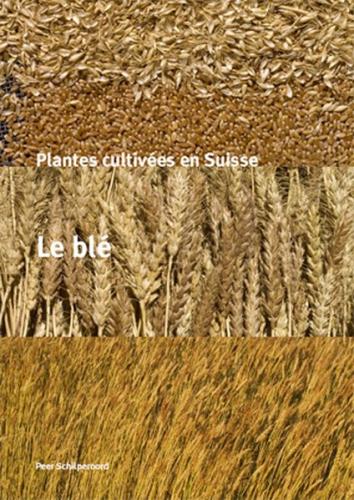Plantes cultivées en Suisse - Le blé 