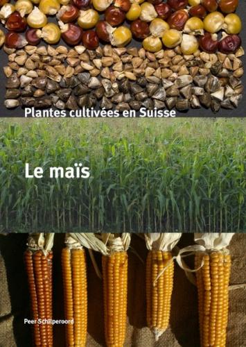 Plantes cultivées en Suisse - Le maïs 