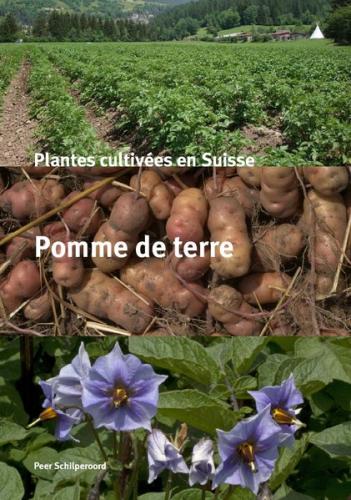 Plantes cultivées en Suisse - Pomme de terre 