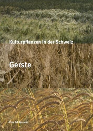 Kulturpflanzen in der Schweiz - Gerste 