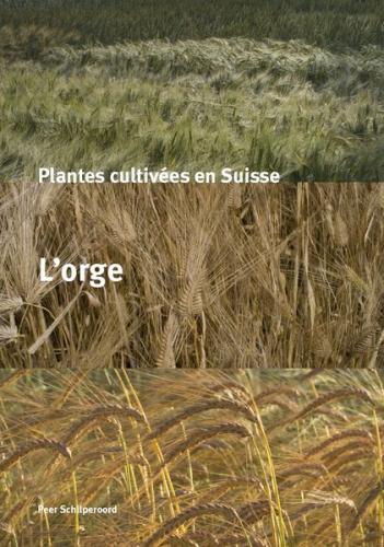 Plantes cultivées en Suisse - L'orge 