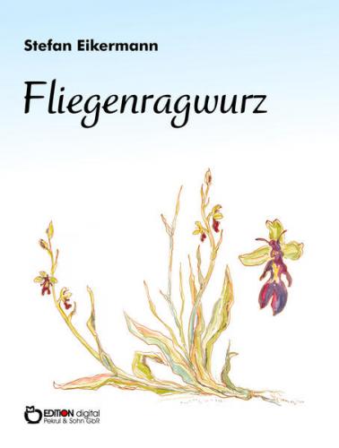 Fliegenragwurz 