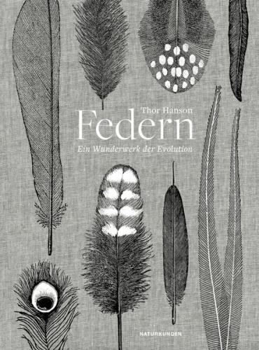 Federn 