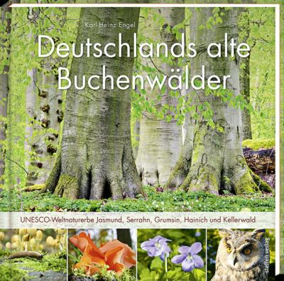 Deutschlands alte Buchenwälder 
