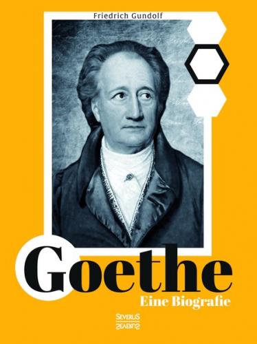 Goethe. Eine Biografie 