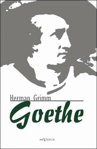 Goethe. Eine Biographie 