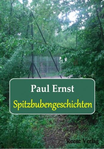 Spitzbubengeschichten (Ebook - EPUB) 