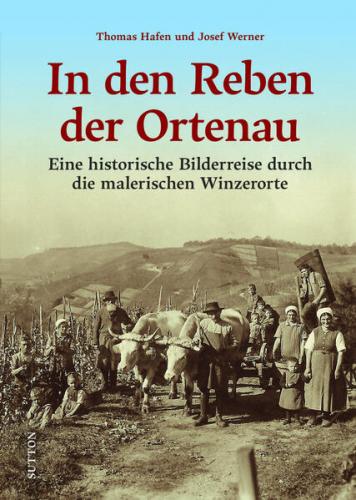 In den Reben der Ortenau 