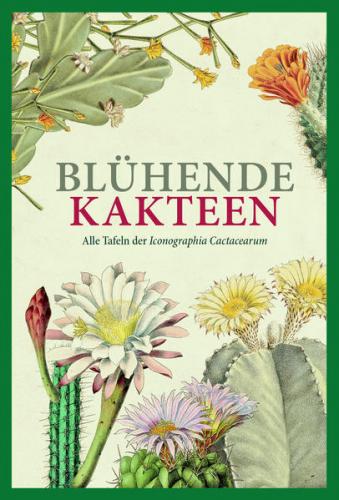 Blühende Kakteen. Vorzugsausgabe. Handgebunden in Leinen. 